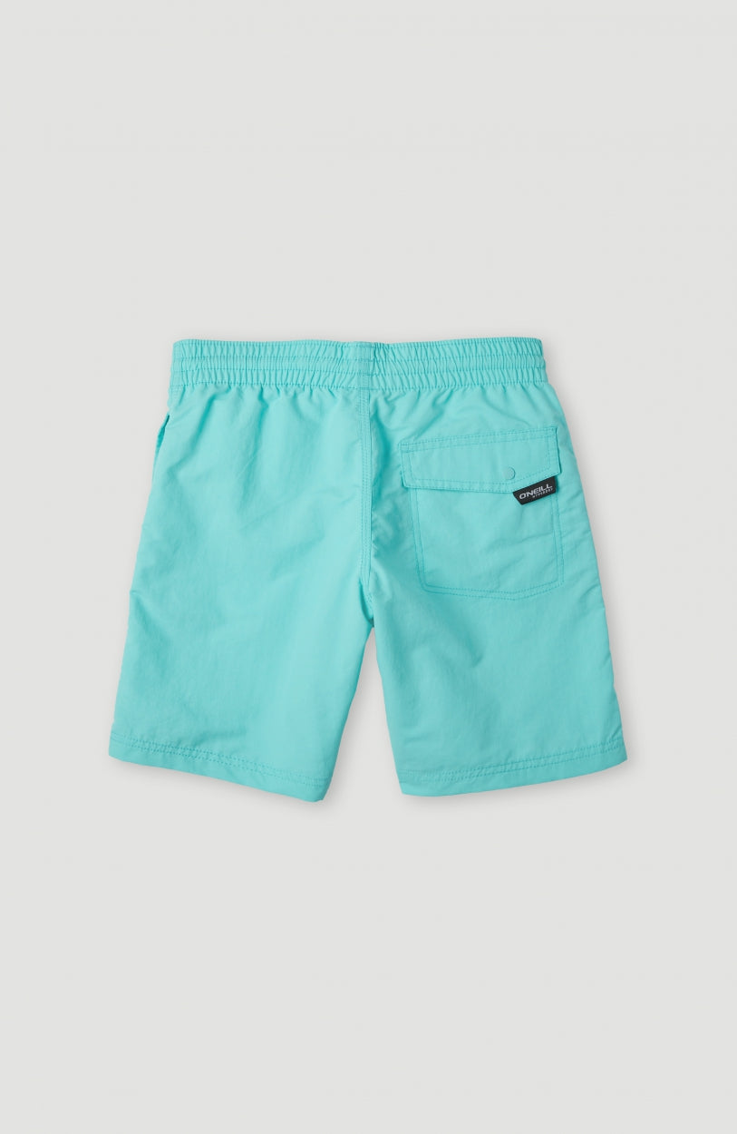 Vert 14'' Swim Shorts | Aqua Spalsh