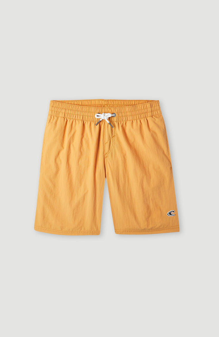 Vert 14'' Swim Shorts | Nugget