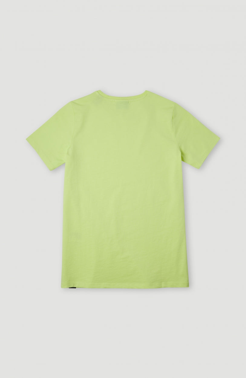 Circle Surfer T-Shirt | Sunny Lime