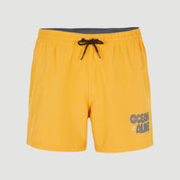 Packable 15'' Hybrid Shorts | Nugget