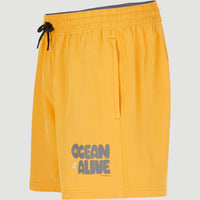 Packable 15'' Hybrid Shorts | Nugget