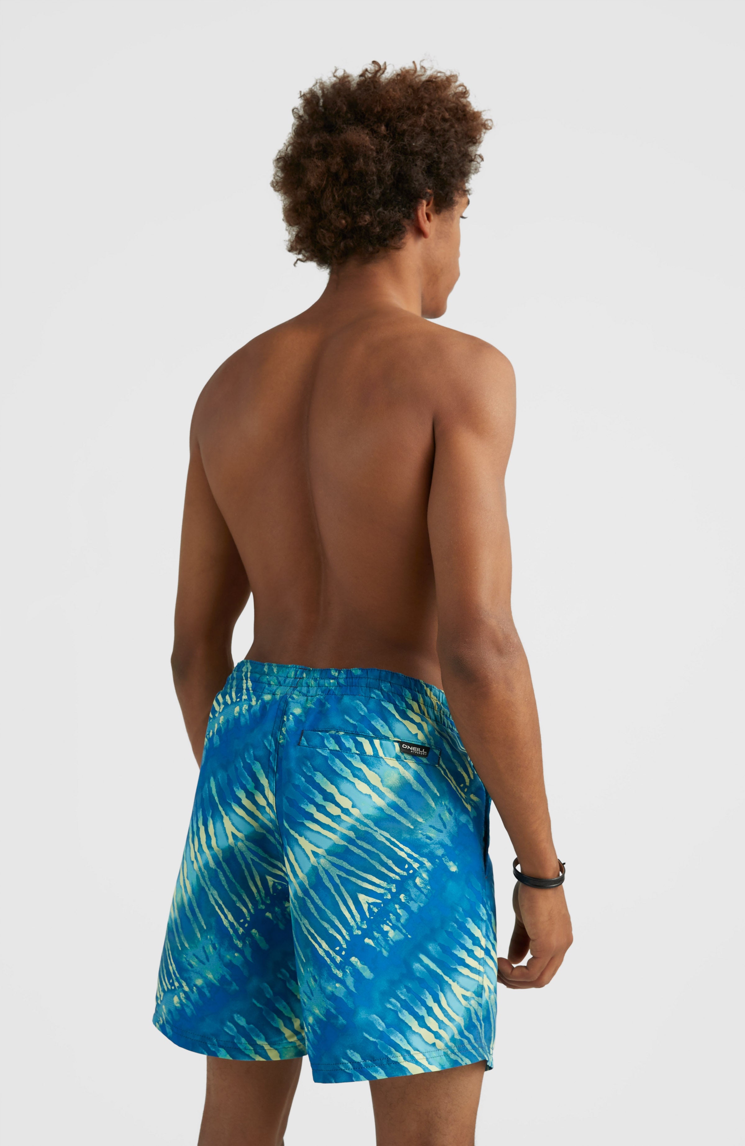 Men Cali Melting 16'' Swim Shorts | Blue Print – O'Neill