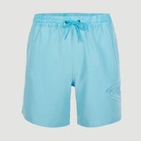 Cali Ocean 16'' Swim Shorts | Blue Topaz