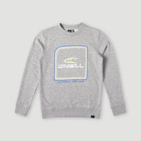 Cube Crew Sweatshirt | Silver Melee
