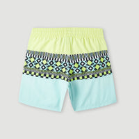 Cali Block 13'' Swim Shorts | Beach Glass Colour Block