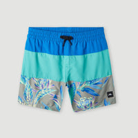 Cali Block 13'' Swim Shorts | Sea Green Colour Block