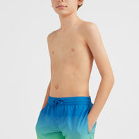 Cali Gradient 14'' Swim Shorts | Dark Blue Simple Gradient