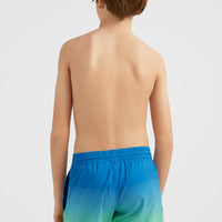 Cali Gradient 14'' Swim Shorts | Dark Blue Simple Gradient