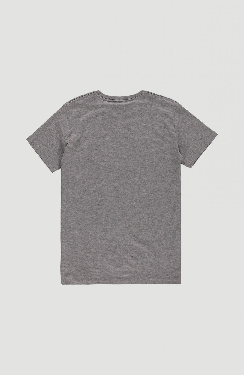 O'Neill T-Shirt | Silver Melee -A