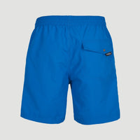 Vert Swim Shorts | Victoria Blue