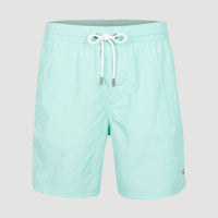 Vert 16'' Swim Shorts | Beach Glass