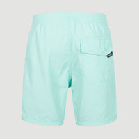 Vert 16'' Swim Shorts | Beach Glass