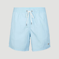 Vert 16'' Swim Shorts | Blue Topaz