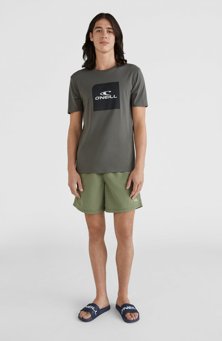 Vert Swim Shorts | Deep Lichen Green