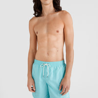 Vert 16'' Swim Shorts | Aqua Spalsh