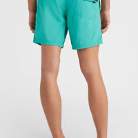Vert 16'' Swim Shorts | Sea Green