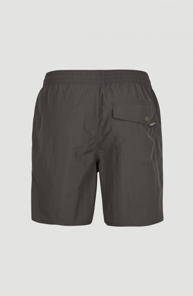 Vert Swim Shorts | Asphalt