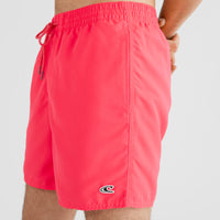 Vert Swim Shorts | Divan