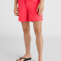 Vert Swim Shorts | Divan