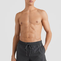 Vert 16'' Swim Shorts | Asphalt - A