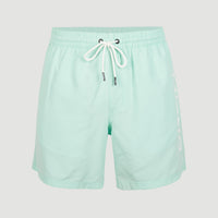Cali Swim Shorts | Beach Glass