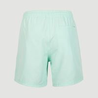 Cali Swim Shorts | Beach Glass