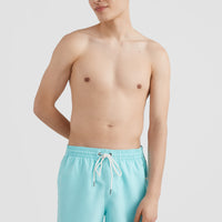 Cali Swim Shorts | Aqua Spalsh