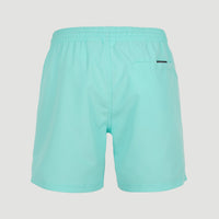 Cali Swim Shorts | Aqua Spalsh