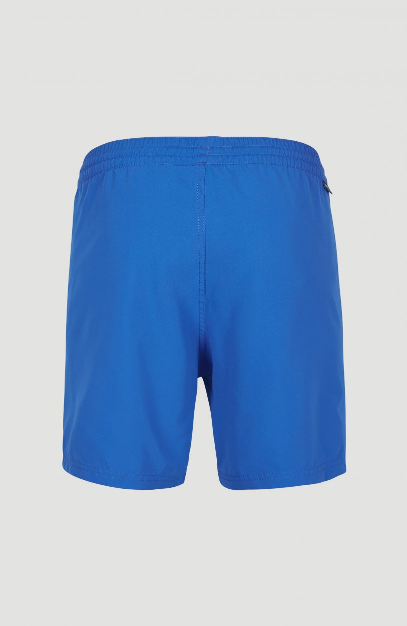 Cali Swim Shorts | Victoria Blue -A