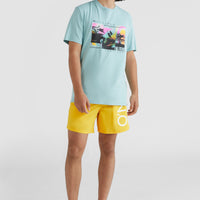 Original Cali Swim Shorts | Old Gold
