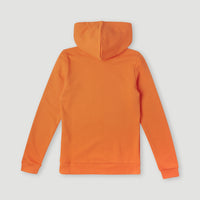 Cube Hoodie | Puffin's Bill