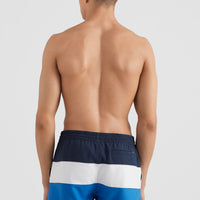 Frame Block Swim Shorts | Blue Multi 9