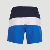 Frame Block Swim Shorts | Blue Multi 9