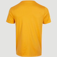 Arrowhead T-Shirt | Nugget