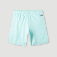 Original Cali 14'' Swim Shorts | Beach Glass